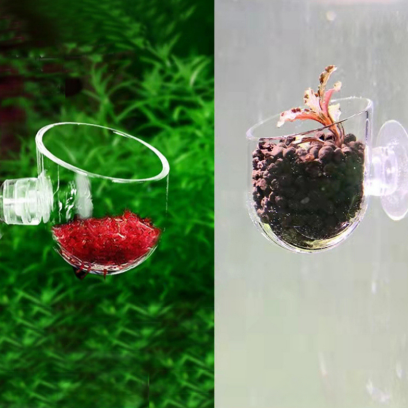 Acrylic Aquatic Plant Cup With - Planted Aquarium Accessories ulasan dan harga
