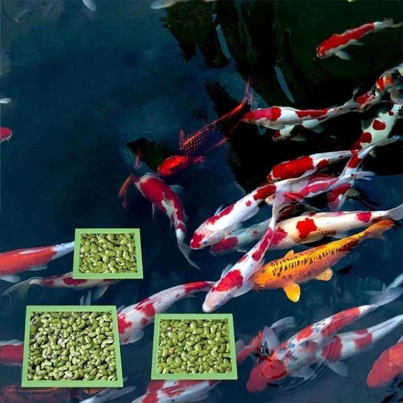 5/10pcs Aquarium Floating Plan - Planted Aquarium Accessories ulasan dan harga