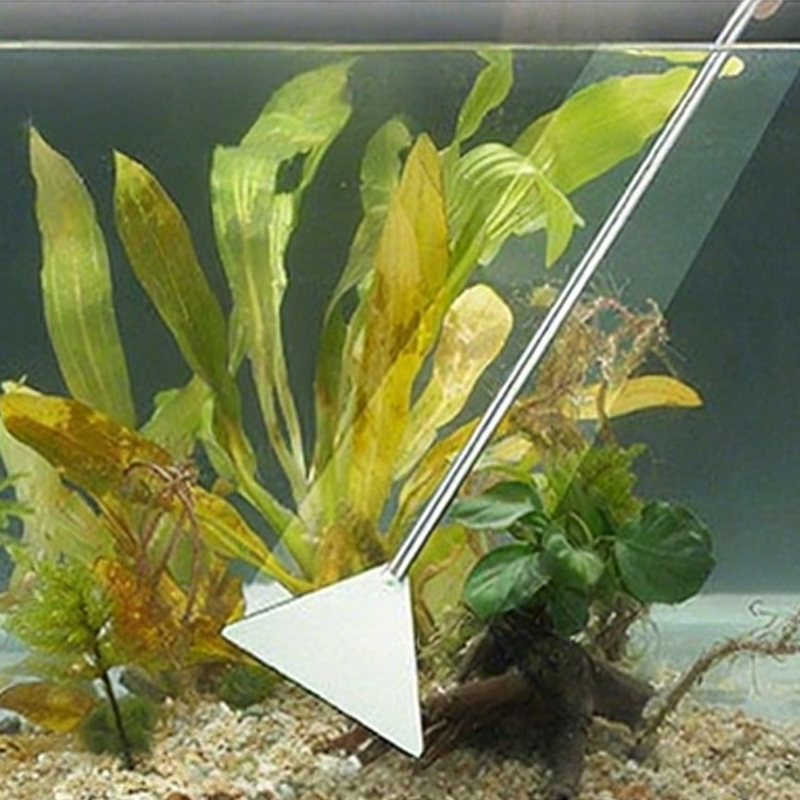 Aquarium Scissors Tweezers Too - Planted Aquarium Products ulasan dan harga