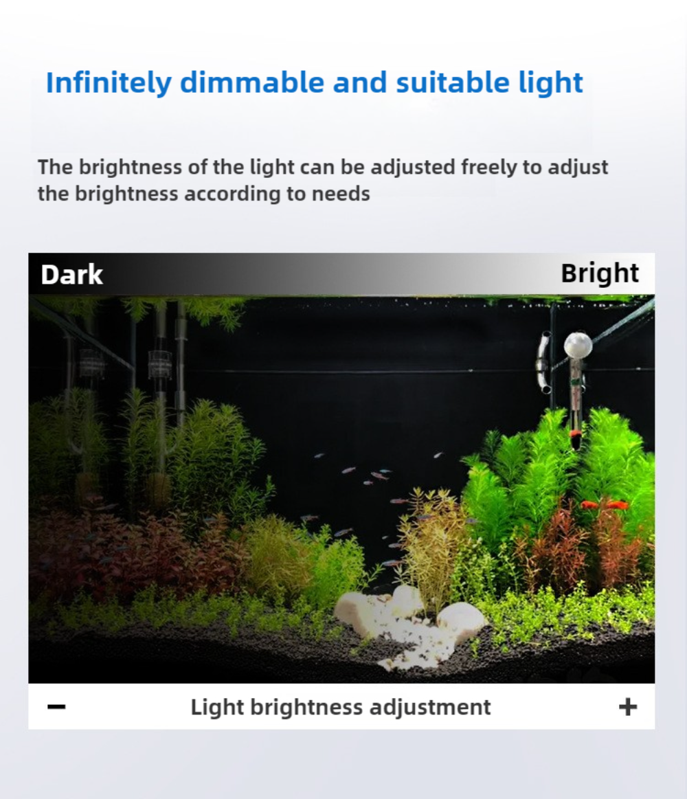 LED Aquarium Light Sunrise Day - Planted Aquarium Cycling ulasan dan harga