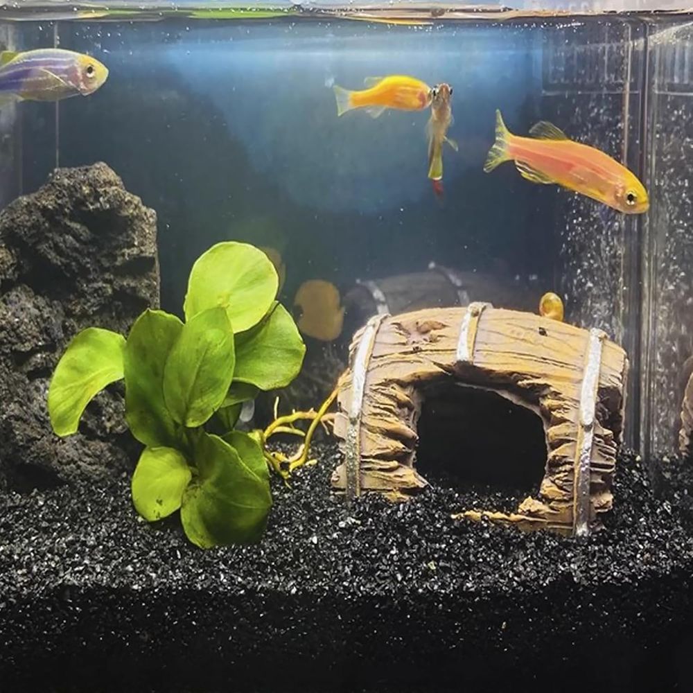 ANTIAN 20 lbs Black Silica San - Aquarium Planted Sand ulasan dan harga