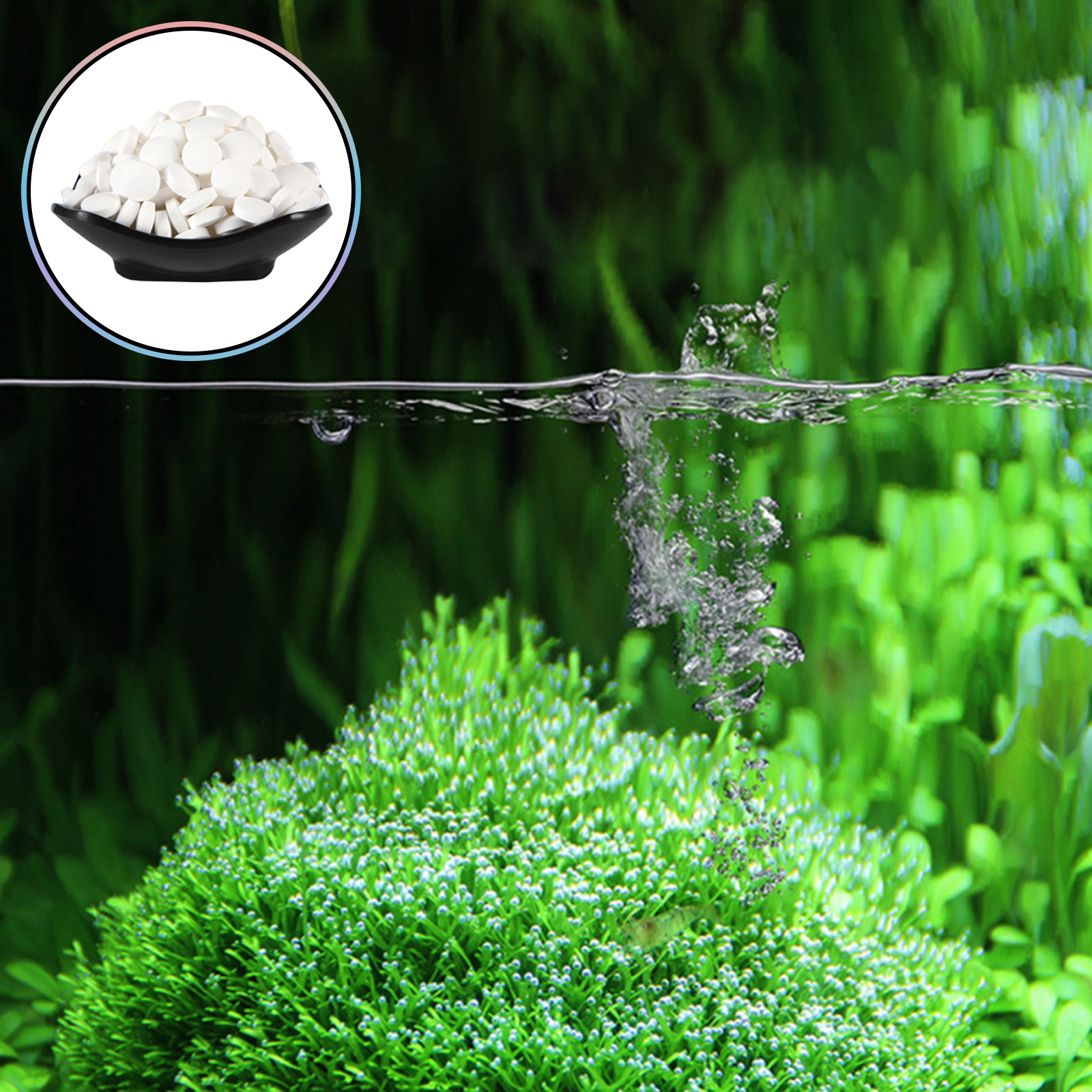 Algae Removal Tablets For Fish - Planted Aquarium Hair Algae ulasan dan harga