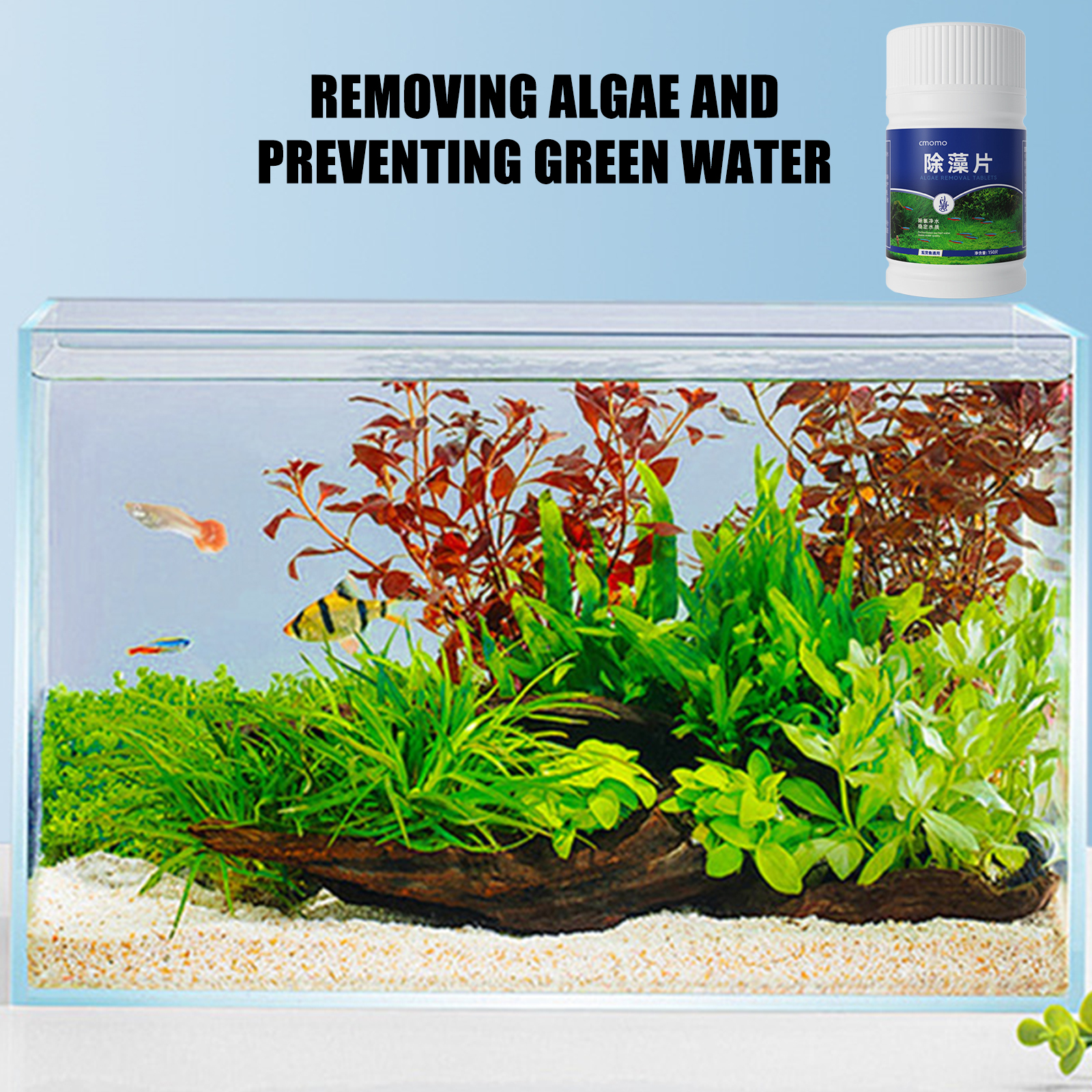 Algae Removal Tablets For Fish - Planted Aquarium Hair Algae ulasan dan harga