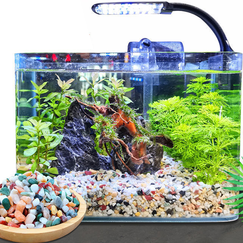 Natural Gravel Stone 200~1000g - Aquarium Planted Sand ulasan dan harga