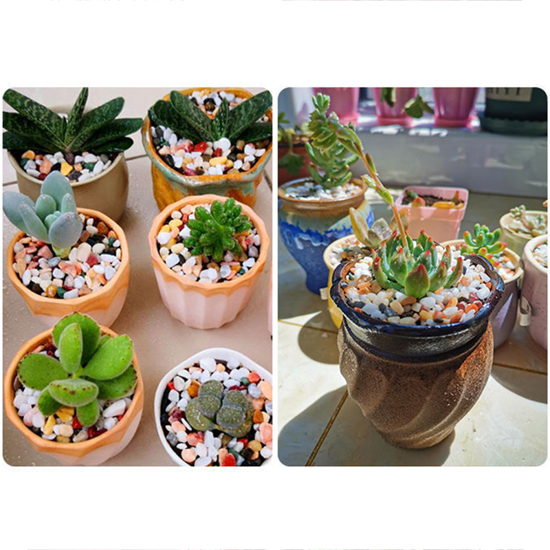 Natural Gravel Stone 200~1000g - Aquarium Planted Sand ulasan dan harga