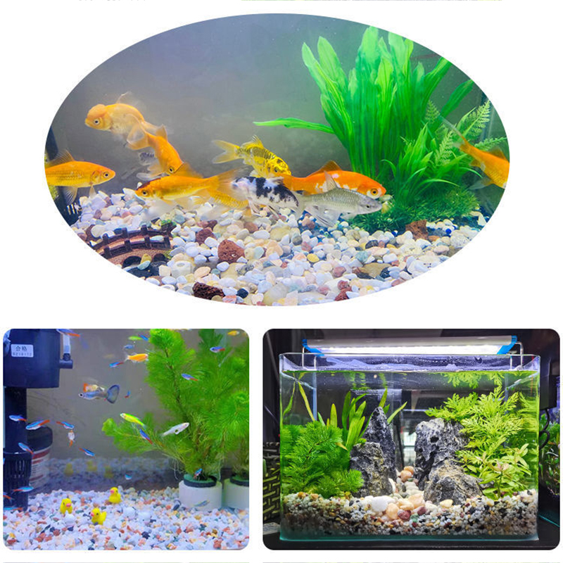 Natural Gravel Stone 200~1000g - Aquarium Planted Sand ulasan dan harga
