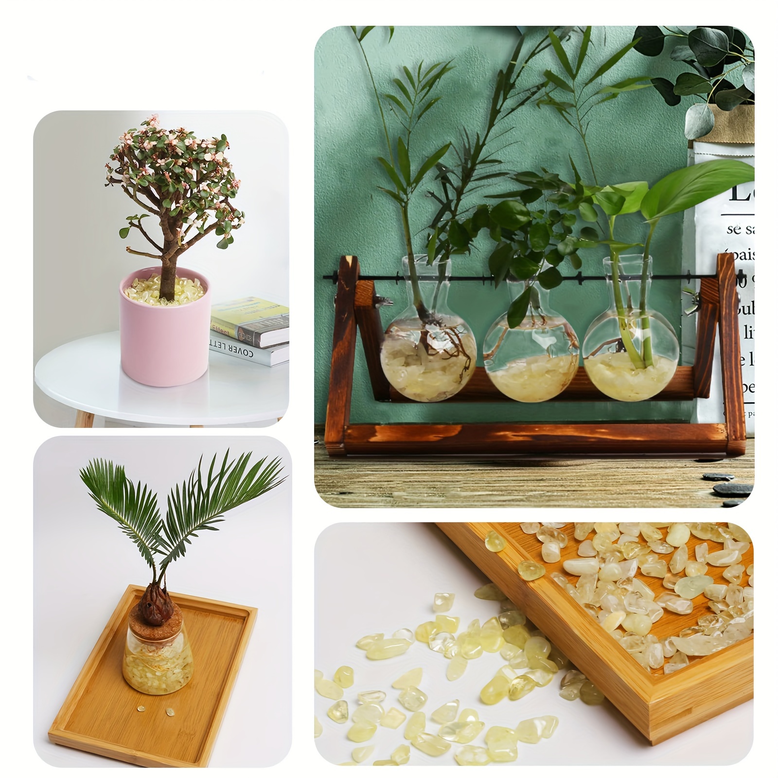 Citrine Chips - Stylish jewelr - Planted Aquarium Accessories ulasan dan harga