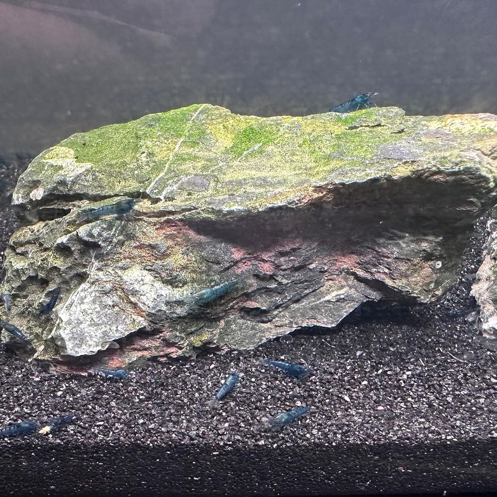 YISZM Aquarium Sand, 20lbs Bla - Aquarium Planted Sand ulasan dan harga