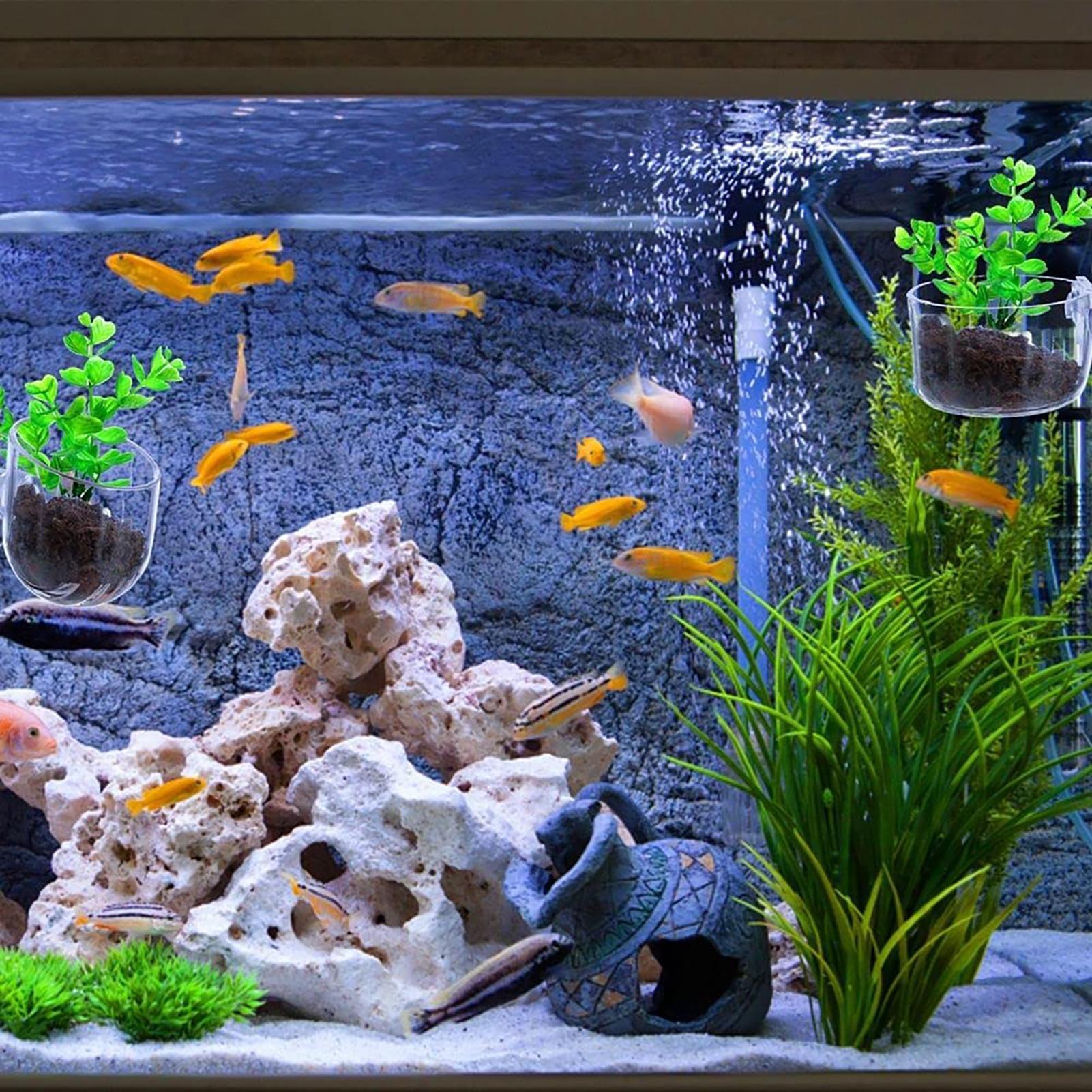 Aquatic Plant Pot Clear Acryli - Aquarium Plant Rings ulasan dan harga