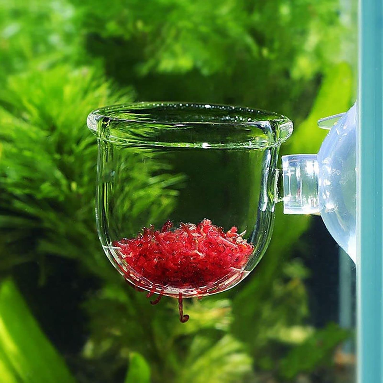 Aquatic Plant Pot Clear Acryli - Aquarium Plant Rings ulasan dan harga