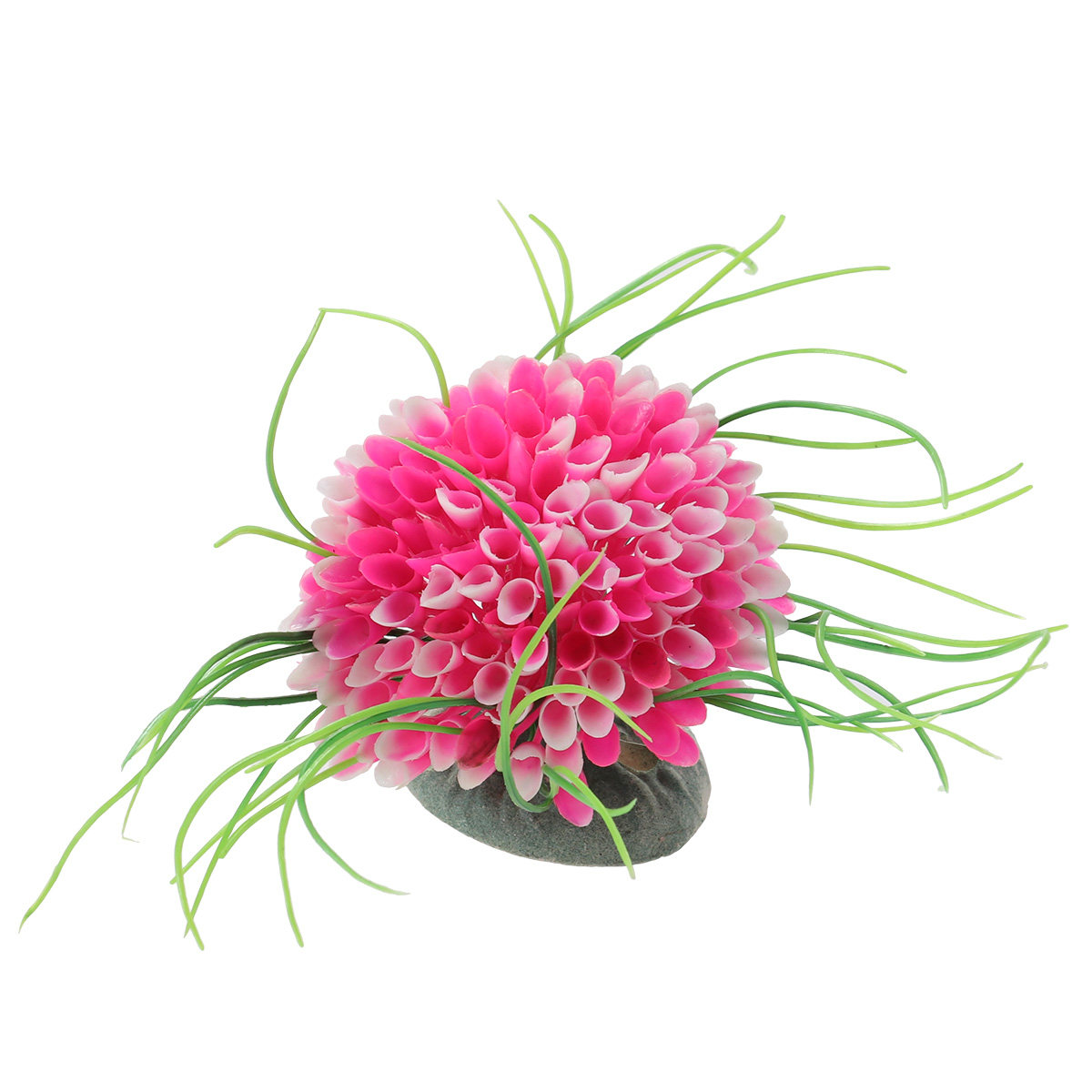 High Quality Artificial Aquari - Planted Aquarium Maintenance ulasan dan harga