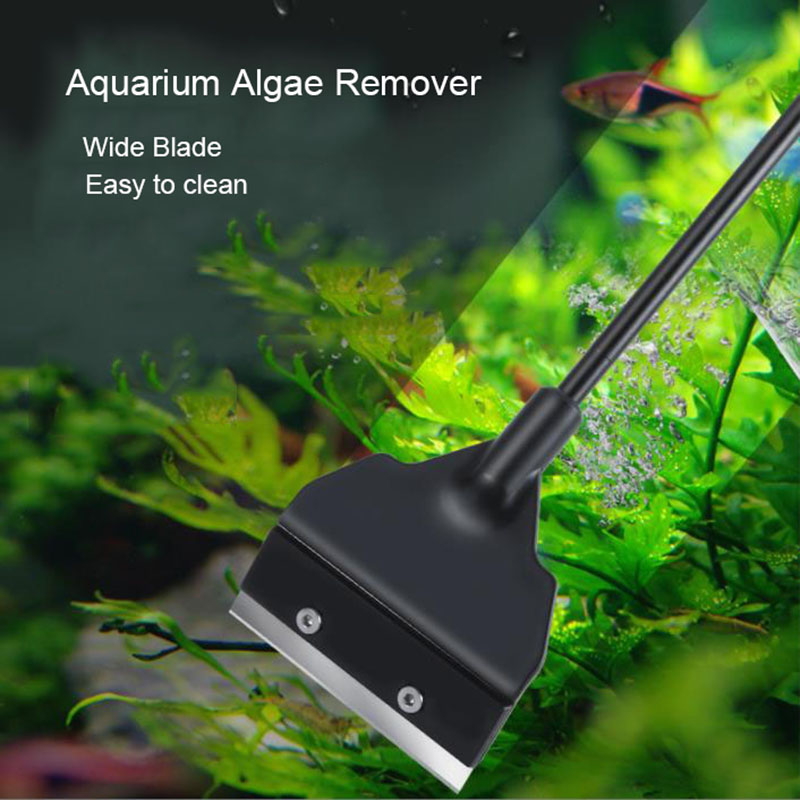 Wide Blade 6cm Light Weight Aq - Planted Aquarium Algae Remover ulasan dan harga