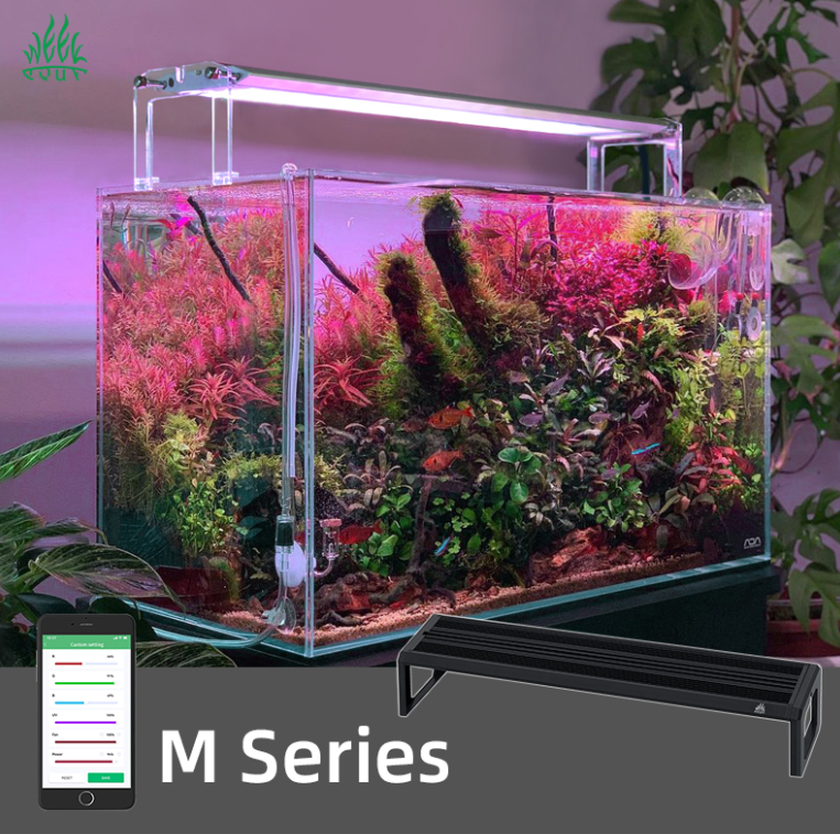 WEEK AQUA M Series 400mm Aquar - Planted Aquarium Products ulasan dan harga