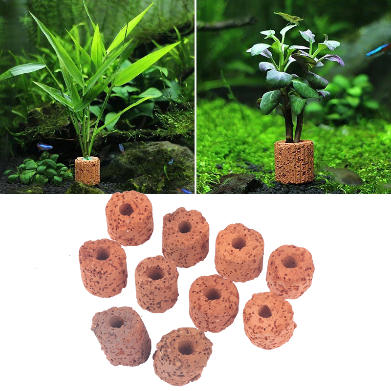 10Pcs Ceramic Aquatic Plant We - Aquarium Plant Rings ulasan dan harga