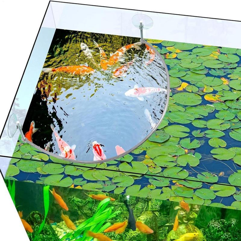 Floating Plant Corral Fish Fee - Aquarium Plant Rings ulasan dan harga