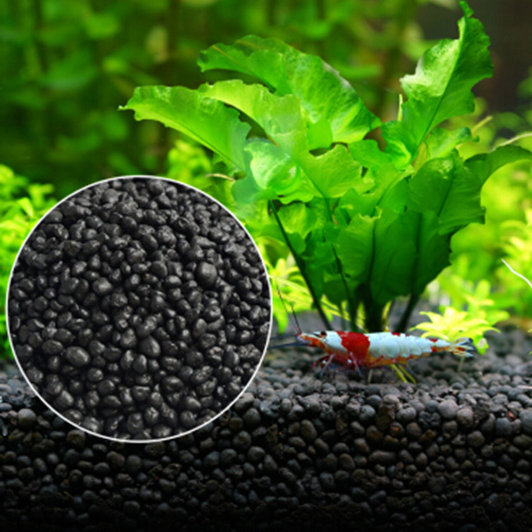 Aquarium Plant Seeds Soil Fish - Planted Aquarium Accessories ulasan dan harga