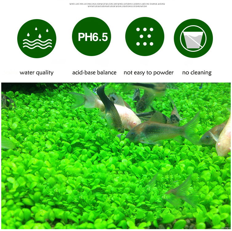 Aquarium Plant Seeds Soil Fish - Planted Aquarium Accessories ulasan dan harga