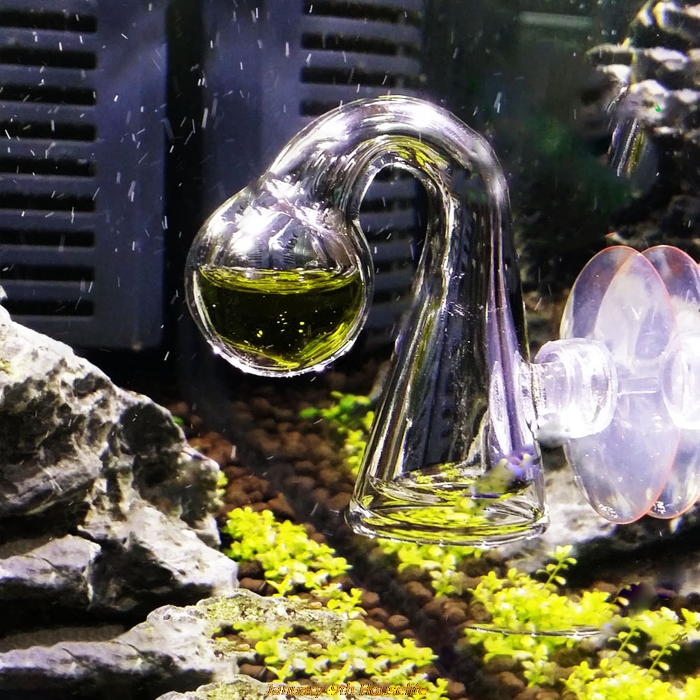 Fish Tank CO2 Diffuse Glass Dr - Planted Aquarium Accessories ulasan dan harga