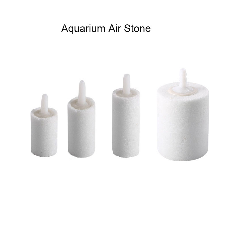 White Fish Tank Aquarium Air S - Aquarium Lily Pipe ulasan dan harga