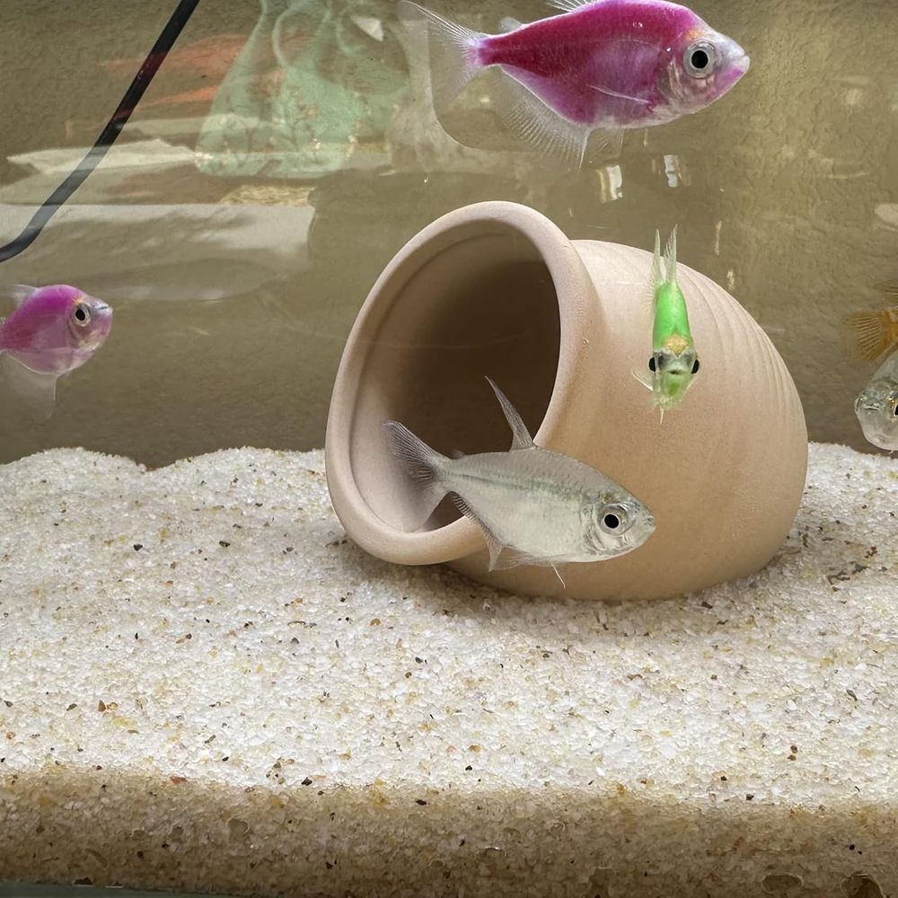 YISZM Aquarium Sand, 20lbs Bei - Aquarium Planted Sand ulasan dan harga