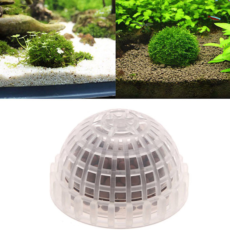 Aquatic Pet Supplies Decoratio - Planted Aquarium Maintenance ulasan dan harga
