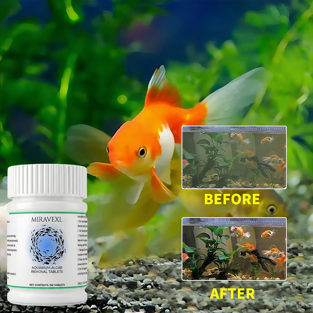 150 Ct Aquarium Algae Removal  - Planted Aquarium Algae Remover ulasan dan harga