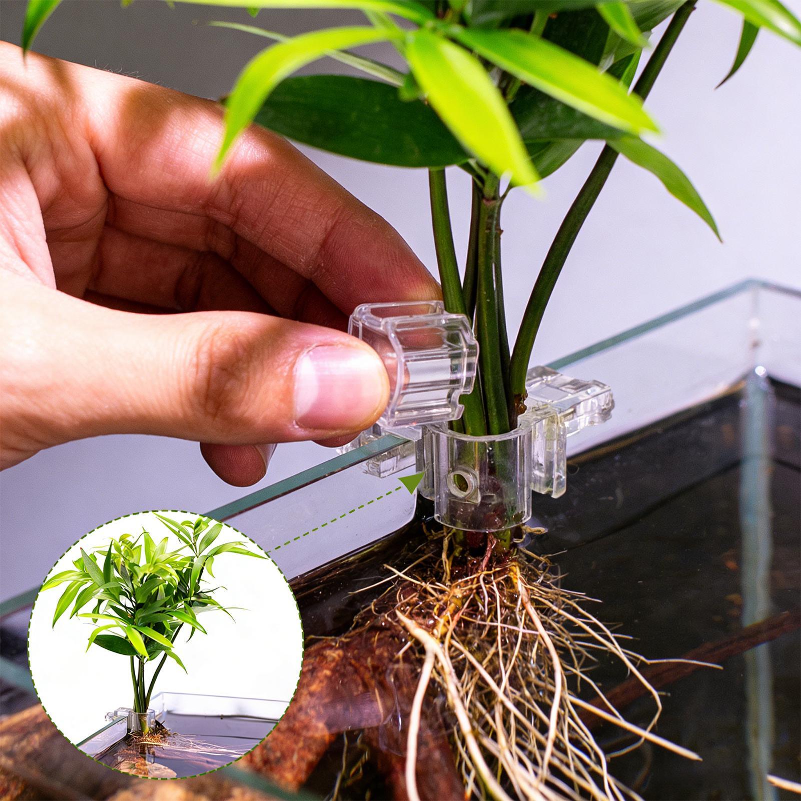 Plant Holder For Aquarium 6 Pi - Aquarium Plant Rings ulasan dan harga