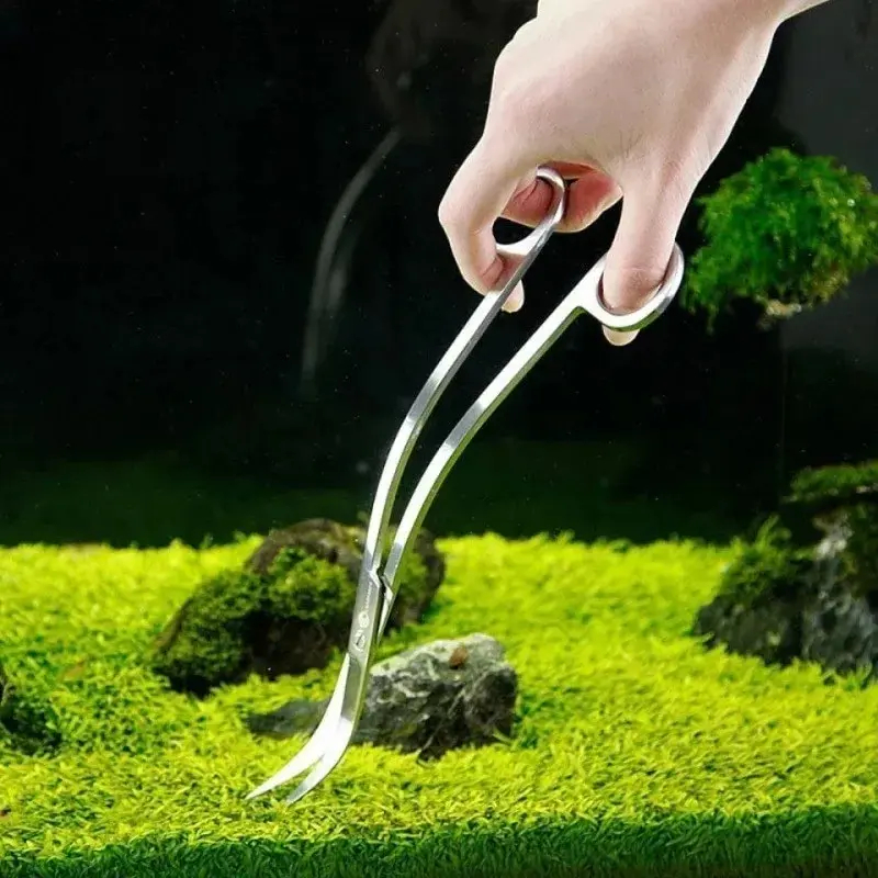 Aquarium Scissors,Extra Long S - Planted Aquarium Tools ulasan dan harga
