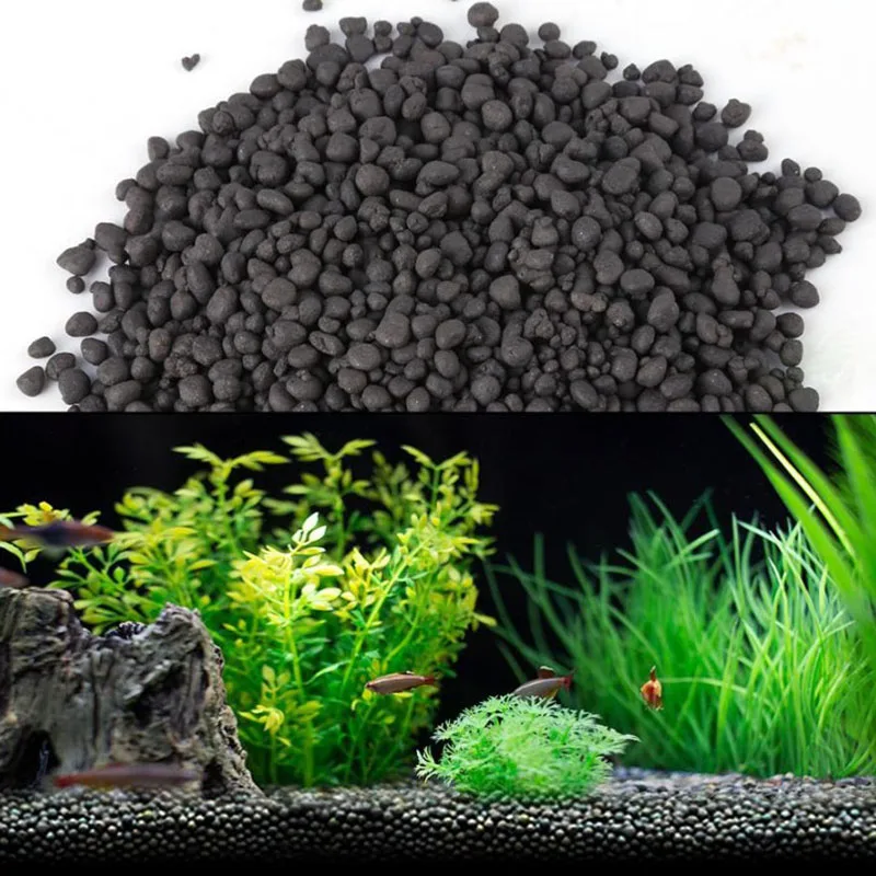 1kg Watergrass Aquarium Plants - Aquarium Planted Sand ulasan dan harga